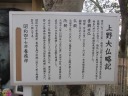 上野公園　桜並木　上野大仏