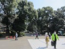 上野公園　桜並木　五條天神社前で左折