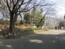 上野公園　摺鉢山古墳前で右折