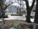 上野公園　彰義隊墓所から見える西郷隆盛銅像