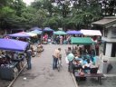 Togo Jinja Shrine   Curio market