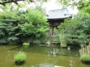 西新井大師　藤棚前の池