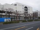 第一京浜　都立六郷工科高校の桜