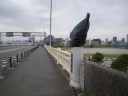 第一京浜　多摩川に架かる六郷橋