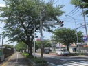 藤沢街道（国道４６７号）　福田入口交差点