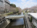 小田急線路沿いに西進　仙川に架かる成城橋