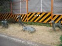 中野犬屋敷跡の碑
