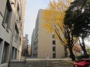 慶應大学　三田キャンパス