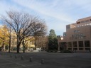 慶應大学　三田キャンパス　中庭