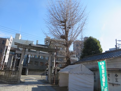 石浜通り　今戸神社　石鳥居越しに見える東京スカイツリー