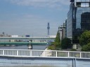 永代橋から見た東京スカイツリー（上流側）