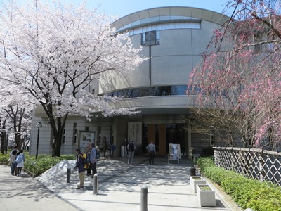 桜が満開の飛鳥山公園　渋沢資料館