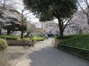 飛鳥山公園　旧渋沢庭園前の遊歩道を南下