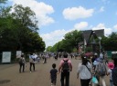 上野公園　大噴水広場から見た上野動物園