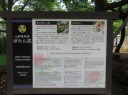 上野公園　さくら通りから右折、上野東照宮へ