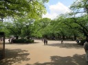 上野公園　上野東照宮から左折、さくら通りへ
