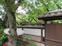 上野公園　上野東照宮　ぼたん苑　表参道に並ぶ石灯籠