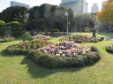  山下公園　横浜港沿いに東進　きれいに整備された花壇 