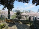 掃部山公園　銅像広場の右の道を下る　展望台からの風景
