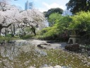 掃部山公園　日本庭園　池、灯籠