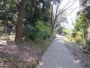 掃部山公園　飯岡幸吉歌碑手前の標識で右折、坂を上る