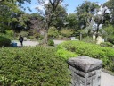 野毛山公園（散策地区）沿いの坂を下る　池のある小公園
