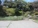 野毛山公園（散策地区）沿いの坂を下る　池のある小公園