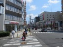 横浜駅根岸道路（市道８０号）　長者橋交差点で左折、満開のサクラ並木の大岡川河畔へ