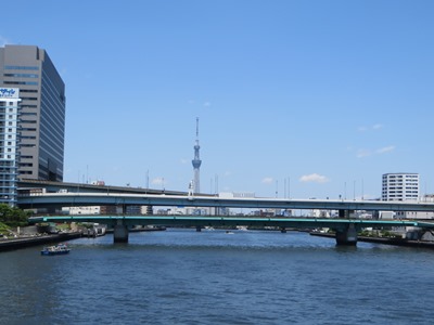 永代通り　永代橋から見える東京スカイツリー