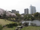 隅田公園（旧水戸藩下屋敷 小梅邸）　汐入の池
