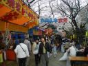 上野公園　上野東照宮　満開の参道に並ぶ花見の屋台