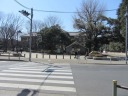 黒田清輝記念館前交差点で左折、都道神田白山線（４５２号）へ
