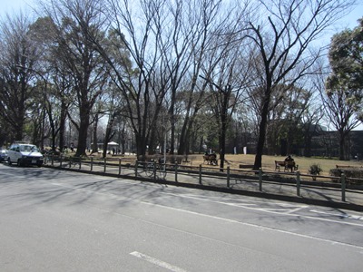 都道神田白山線（４５２号）　上野公園沿いに東進