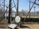上野公園　正岡子規記念球場