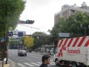尾上町通り　横浜市役所前の色付き始めたイチョウ並木
