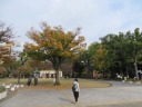 横浜公園　黄葉が美しい日本庭園
