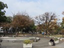 横浜公園　紅葉、黄葉が美しい噴水、日本庭園