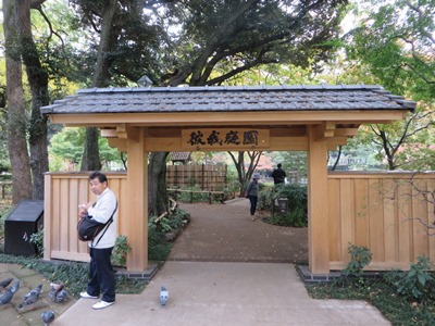 横浜公園　紅葉、黄葉が美しい日本庭園　「彼我庭園」の門