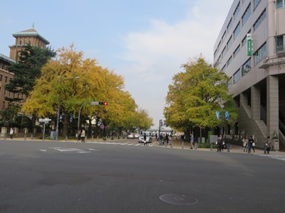 日本大通り　港郵便局前交差点で右折、本町通りへ