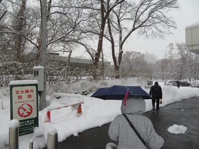 万歩計 散策点描 真冬の札幌 小樽散策 第７０回さっぽろ雪まつりh310205 07 真冬の札幌 小樽散策 第７０回さっぽろ雪まつりh310205 07 北海道大学 北海道道庁 札幌時計台h310206 西７丁目通 北海道大学 北海道 道庁 北海道大学 札幌キャンパス クラーク会館