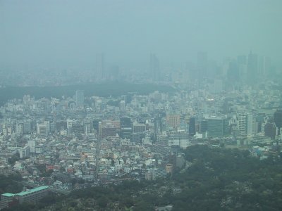 (West side)   Shinjuku as a subcenter of Tokyo., Tokyo Metropolitan Government Office