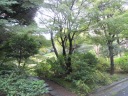  池田山公園　池泉式庭園に沿って坂を上る 