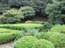 池田山公園　四阿から下り、池泉式庭園へ