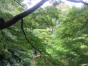 池田山公園　池泉式庭園から見た四阿