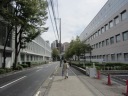 ＮＴＴ　関東病院と東京医療保険大の間を南下して戻る