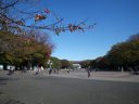 上野公園　大噴水前広場