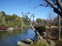 隅田公園（旧水戸藩下屋敷 小梅邸）　汐入りの池