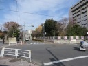 和田一丁目交差点で右折、中野本郷通りへ