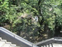 外苑東通り　乃木公園　階段を降りると乃木神社へ