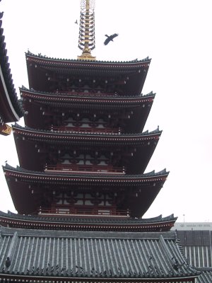 The Sensouji temple Sketch (Five-storied pagoda) 